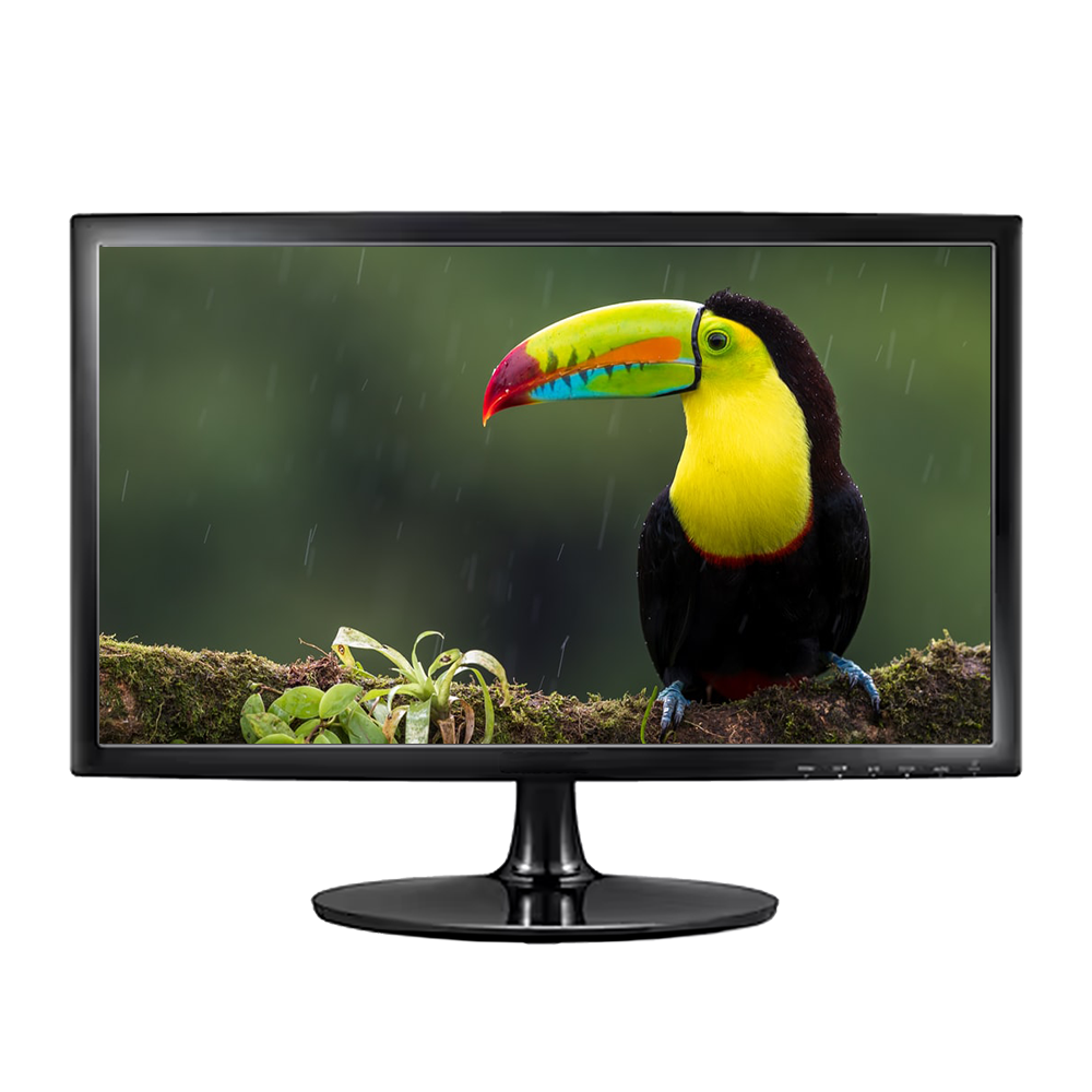 19” Monitor | LED | WIDE Monitor