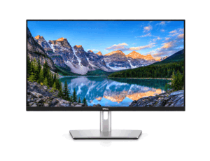 Dell P2422H 24 Inch IPS Frameless Monitor